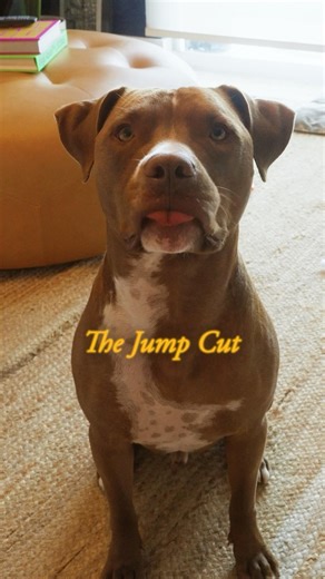 Master the Jump Cut (feat. Otis)