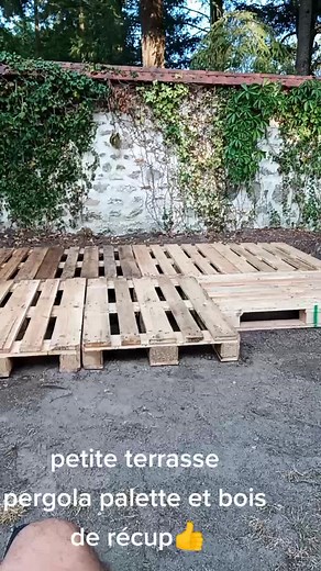 Création d'une terrasse en bois de palette et d'un tronc d'arbre récupéré en forêt