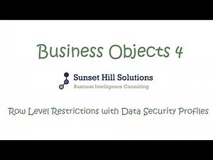 Business Objects 4x Information Design Tool - Row Level Restrictions using Data Security Profiles