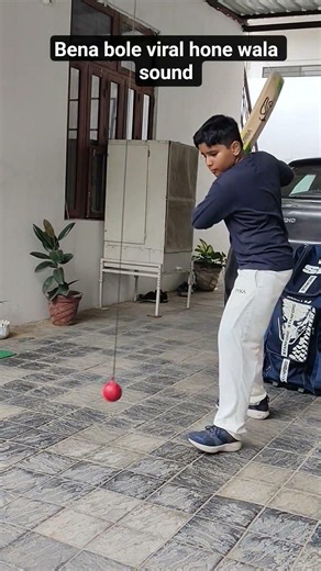 Use the sound 100% #cricket