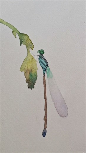 watercolor painting dragonfly painting
