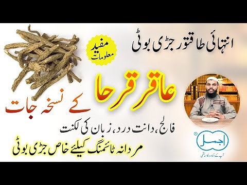 Akarkara ke fayde | Pellitory Root | Akarkara Benefits in Male Timing, Epilepsy and Inflammation