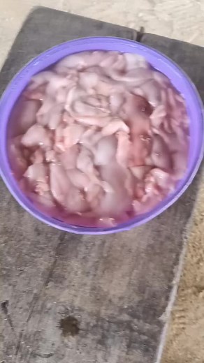 Fish oil, details of how it's made on my previous post.#viral #viralvideo #fishingtiktoks #fishprocessing #phfishing #myminifishfarm