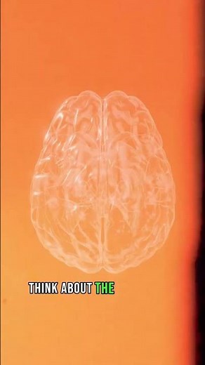 How Chronic Pain Rewires Your Brain