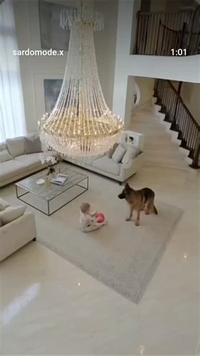 Abdulahat on Instagram: "日本利用压电瓷砖将脚步转化为电能。这些瓷砖捕捉来自你脚步的动能。当你行走时,你的重量和动作会对瓷砖产生压力。瓷砖会轻微弯曲,从而产生机械应力。瓷砖内部的压电材料将这种应力转化为电能。每一步都会产生少量电荷,而数百万步结合在一起就能产生足够的电力来驱动 LED灯、数字显示屏和传感器。在像涩谷车站这样繁忙的地方,每天大约有240万个脚步为这一系统作出贡献。这些电能可以被储存或立即使用,从而减少对传统电力来源的依赖,并支持可持续的城市基础设施。这种方法将日常运动转化为实用的可再生能源 #日本 #知识 #事实#你知道吗#推荐#科技 #创新 #历史 #技术 #实验 #热门"