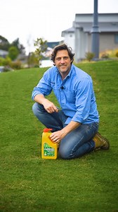 Remove common broadleaf weeds growing in your lawn with All Purpose Weed Control 🌱 Shop now 👉 https://lawnsolutionsaustralia.com.au/shop/default/buffalo-weed-control.html | Lawn Solutions Australia