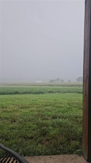 Enjoying the Rain: A Farmer's Perspective