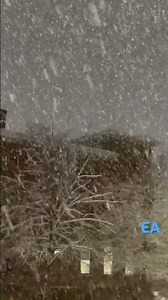 Winter first snow Albany NY Dec22