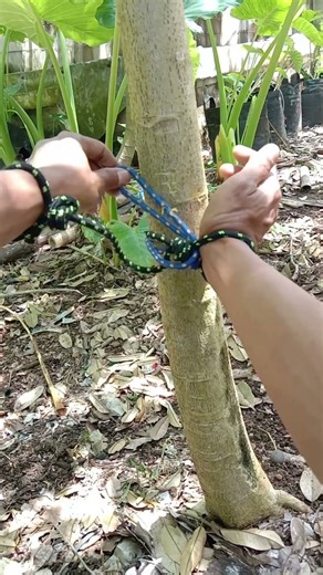 Magical ancient escape techniques #knot #short