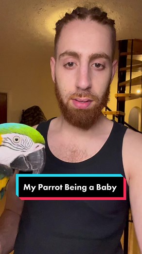 Cellphone Bird Man: My Parrot Being a Baby and a Telephone