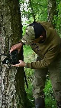 Introducing the HIKMICRO T16 Wildlife Camera #wildlifecamera #hikmicro