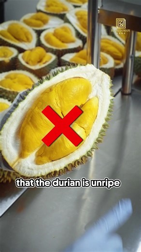 Unboxing the Finest Durians with Royal Durian