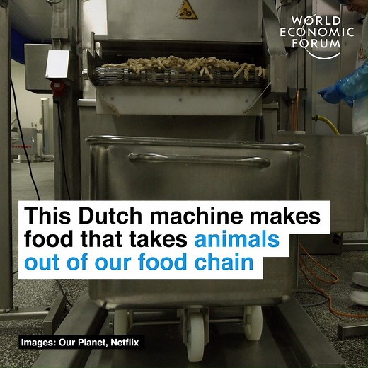 This vegetarian butcher makes plant-based meals that look and taste like real meat. Look out for our weekly Pioneers for the Planet videos, a collaboration with WWF #Netflix #OurPlanet #ShareOurPlanet #VoiceForThePlanet 📕 Read more: https://wef.ch/34UXfpy | World Economic Forum