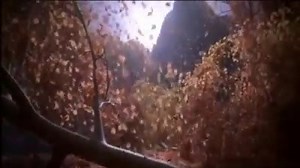 109K views · 7.8K reactions | For all the animation lovers, here's a fantastic one from Kevo's Production to begin your week. Enjoy | MunoWatch | Facebook