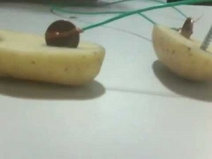 Pilha de batata