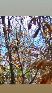 Bircan Bayazit on Reels