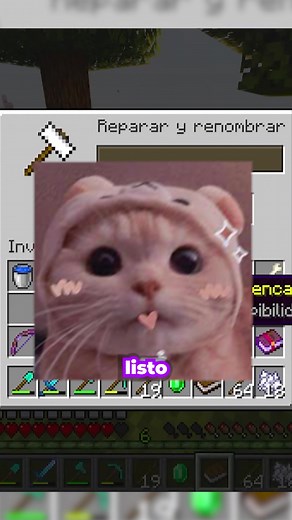 Minecraft en un solo bloque