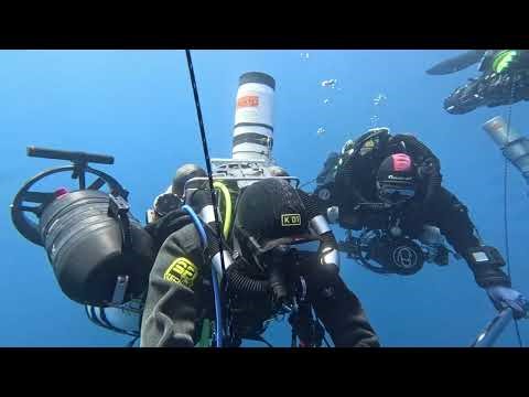 Décompression en plongée profonde : la barre de paliers qui change tout (confort & sécurité)