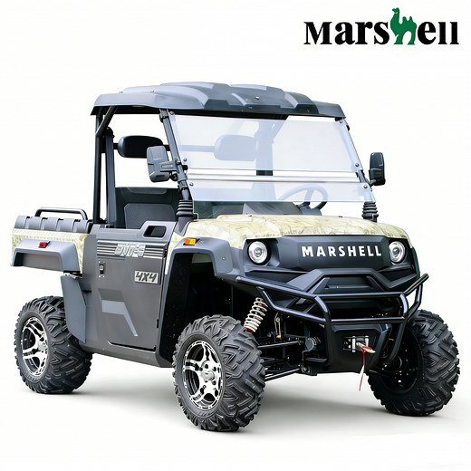 [Hot Item] Marshell Utility 4X4 All Terrain Vehicle Compact Electric Car Factory Price 4WD UTV CE China (DV-T2)