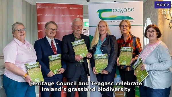 National World YourWorld Top Stories 17 June, 2025