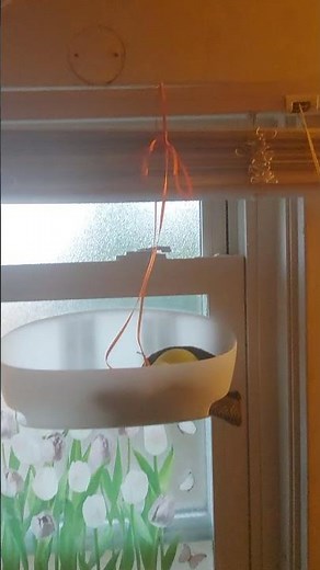 How concrobium works