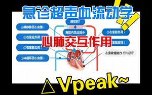 急诊超声血流动力学—心肺交互作用#主动脉/颈总动脉/肱动脉#峰流速变异