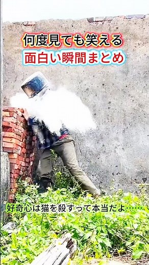 何度見ても笑える面白い瞬間まとめ #元気になる動画 #面白集 #元気お届け #面白い #爆笑 #すごい