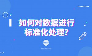 【论文分析小技巧】如何对数据进行标准化处理？