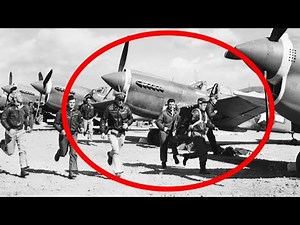 Hello friends! If you, like me, are fascinated by