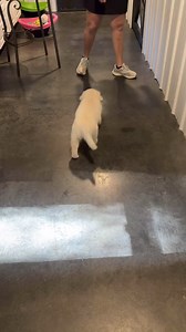 749K views · 8.3K reactions | ➡️This behavior is taught with operant...