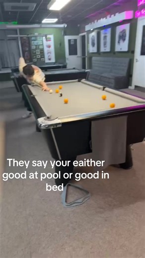 Improving Your Pool Skills After a Break