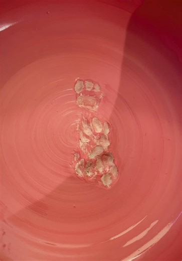 Pottery Process with Studio Cat: Creating a Unique Bowl