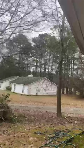 Professional tree services you can trust. Tree removal • Trimming • Pruning • Stump grinding Safe, reliable, and done right the first time. Let us take care of your trees—your property is in good hands. M.A. CONTRACTORS 👩🏽‍💻👷🏾‍♀️