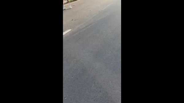 Snake spotted hanging from electrical wire in Tacloban, Philippines