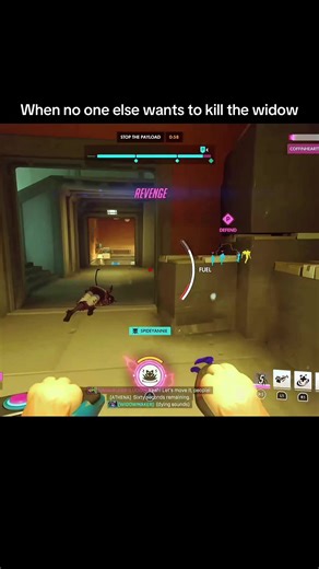Ultimate Widowmaker Plays in Overwatch