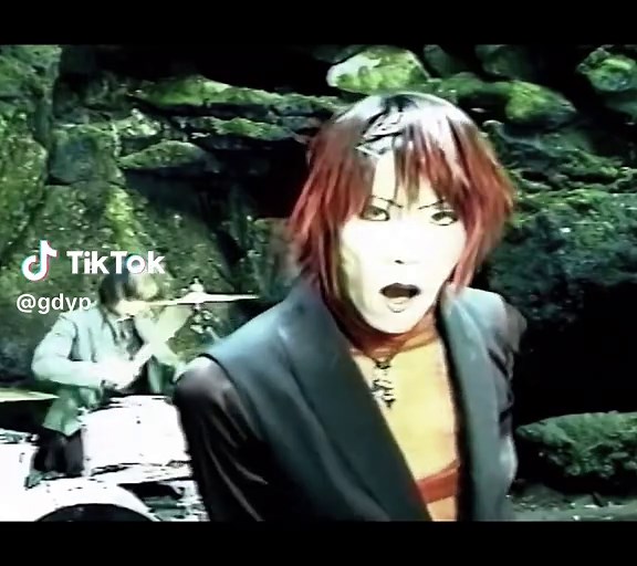 Visual Kei Concert Highlights: V系 and Nagoyakei Style