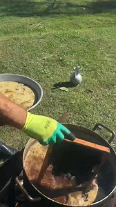 🐝🐝🐝 🐝🐝🐝 🐝🐝🐝🐝 🐝 🐝 🐝 🐝 🐝 🐝🐝🐝 🐝🐝🐝 🐝🐝🐝 🐝 🐝 🐝 🐝 🐝 🐝🐝🐝 🐝🐝🐝 🐝🐝🐝🐝 #canadianapiary #community #Hobby #imkerin #gartenliebe #flowers #garden #beekeeping #hochbeet #selbstvertrauen #Hoing #beet #socialmedia #instaimkerin #honeycomb #socialmediamarketing #design #creater #beelover #nature #honeybee | Canadian Apiary