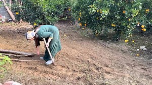 109K views · 3.3K reactions | #cooking #village #homecooking #villagelife #home #traditional #villagelifestyle | Traditional Cooking | Facebook