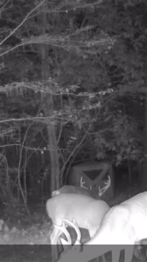 Instagram video by Randy Cook • Feb 12, 2026 at 4:29 PM