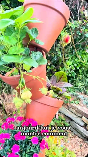 83K views · 5.1K reactions | Spirale en terre cuite Cela fait...