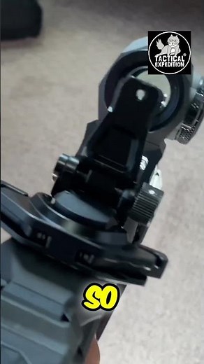 Red Dot Sight Zeroed: Backup Iron Sights Explained! #shorts