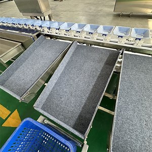 [Hot Item] Lemon Fully Automatic Weighing, Grading and Fruit Selection Machine