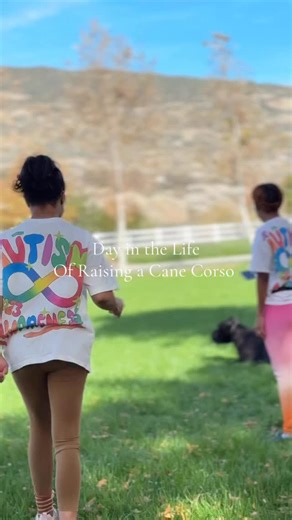 Big Bane on Instagram: "From chaos to control Bane’s training unlocked real freedom 🐾 #CaneCorso #BigDog #GuardDog #RaisingBane"