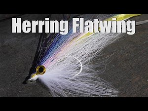 Tying a Herring Flatwing for Bass / Striped Bass - Saltwater and Freshwater Fly Tying Tutorial in 4k