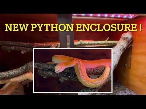I built a big reticulated python enclosure; for free!