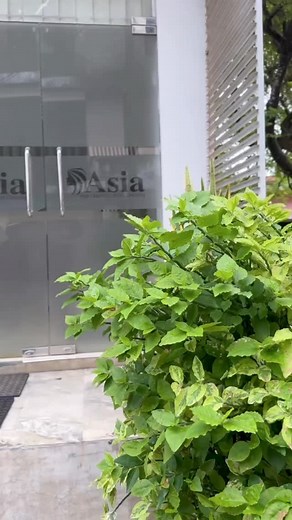 Asia Salon International (Pvt)Ltd 🔝🔥 Book your appointment, Contact us :- 0772714848 #fyp #foryou #asia_salon #althgama #trending #viral #salon #srilanka | Asia Salon & Bridal Dressing International Pvt Ltd