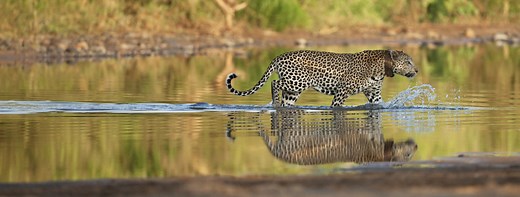 GPS Plus X - Vectronic Aerospace