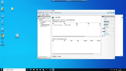 可以使用IIS服务器的反向代理,部署任何后端语言方法02
