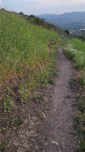 1.5K views · 68 reactions | The Wishbone Trail is a two mile ,...