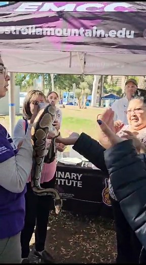 Nessi the Royal Ball Python, an EMCC animal ambassador is here glad-handing with AZ Legislative Staff. | Estrella Mountain Community College | Facebook